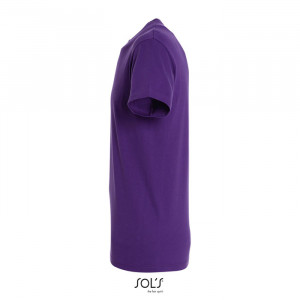 REGENT UNI T-SHIRT 150g - Img 61