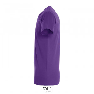REGENT UNI T-SHIRT 150g - Img 91