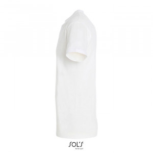 REGENT UNI T-SHIRT 150g - Img 121