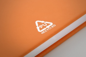 Caiet RPU - Img 4