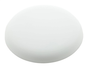Frisbee
