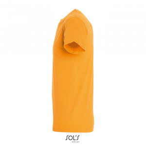 REGENT UNI T-SHIRT 150g - Img 53