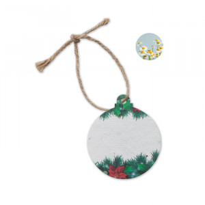 Ornament de Crăciun cu semințe - Img 1