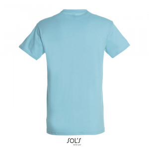 REGENT UNI T-SHIRT 150g - Img 44