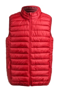 Vestă