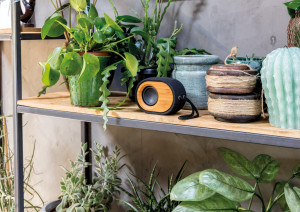 Bamboo X speaker - Img 10