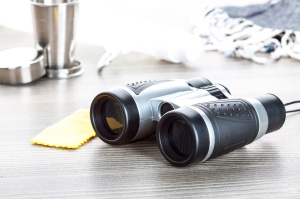 Binoclu - Img 3