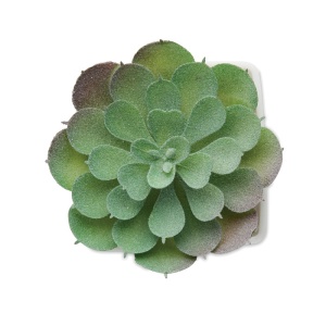 Mini plantă artificială - Img 3
