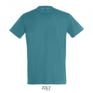 REGENT UNI T-SHIRT 150g - Img 66