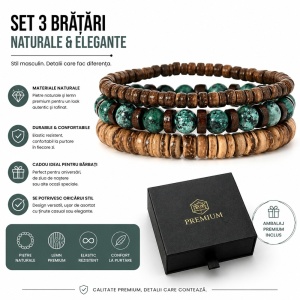 Set 3 Brățări Bărbați din Pietre Naturale  N19