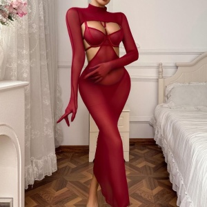 Set lenjerie intimă sexy din dantelă fină elastică, vișiniu, 4 piese #ZZ4037