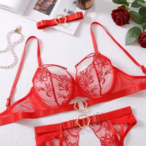 Set lenjerie intima sexy din dantela cu broderie si elemente metalice aurii, rosu, 5 piese #ZZ4257 - Img 7