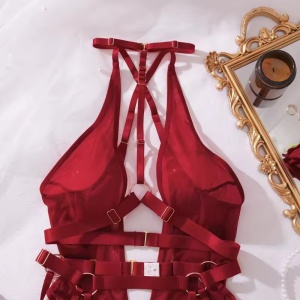 Set lenjerie intima sexy cu decolteu adânc, decupaje și bretele, vișiniu , 2 piese #ZZ4139 - Img 8