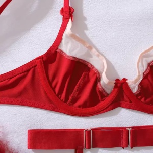 Set lenjerie intima sexy cu insertii de tul, visiniu, 6 piese#ZZ4389 - Img 9