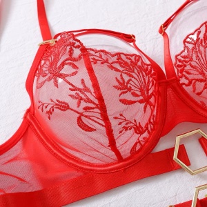 Set lenjerie intima sexy din dantela cu broderie si elemente metalice aurii, rosu, 5 piese #ZZ4257 - Img 10
