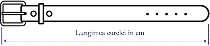 Ghid de mărimi