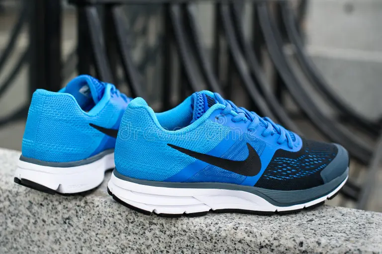 nike pegasus