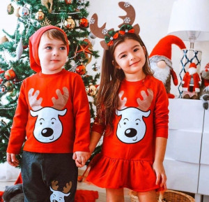 Bluza cu Ren Baieti 0-8 ani F18 - Img 1