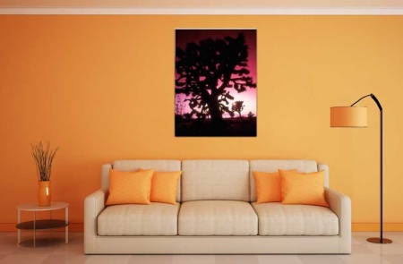 Tablou Cactus
