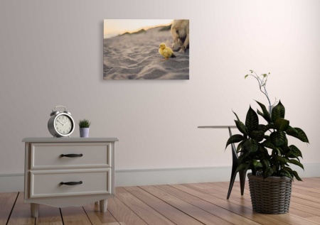 Tablou Canvas animale bobocel pe nisip
