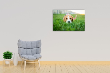 Tablou Canvas animale caine cuminte