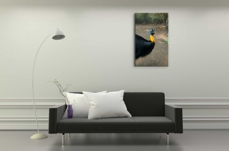 Tablou Canvas animale pasare exotica