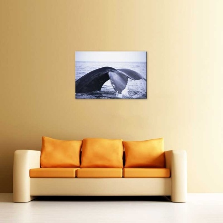 Tablou Canvas Balena