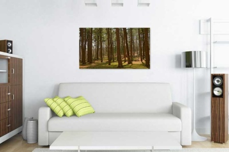 Tablou Canvas Bancute in Padure