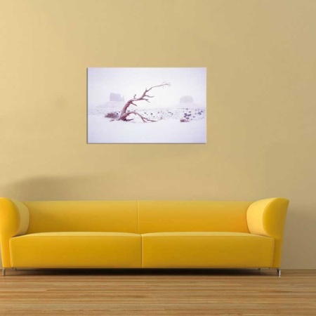 Tablou Canvas Copac in Zapada