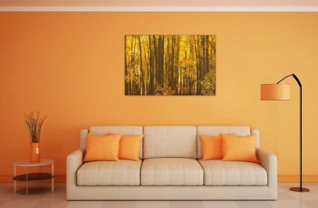 Tablou Canvas Copaci cu frunze galbene