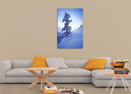 Tablou Canvas Copaci Inghetati