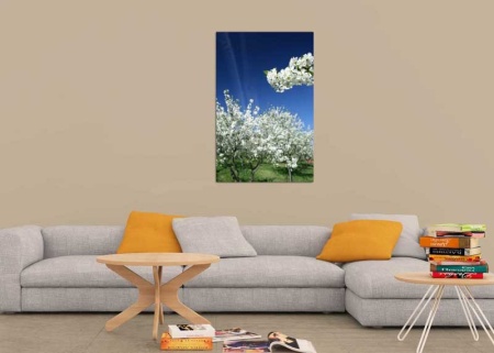 Tablou Canvas Copaci Primavara
