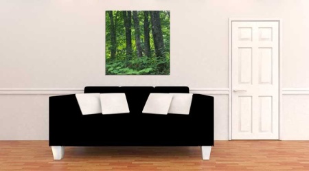 Tablou Canvas Copaci