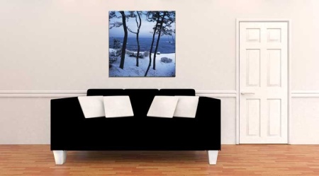 Tablou Canvas Copaci