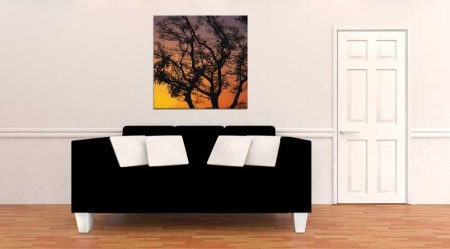 Tablou Canvas Copaci