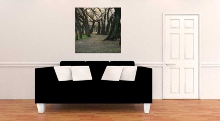 Tablou Canvas Copaci