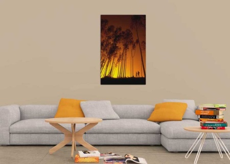 Tablou Canvas Copaci