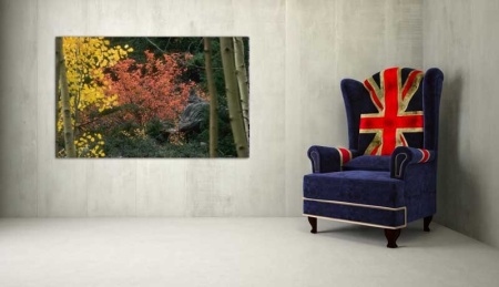 Tablou Canvas Copaci