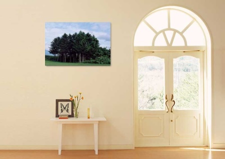 Tablou Canvas Copaci