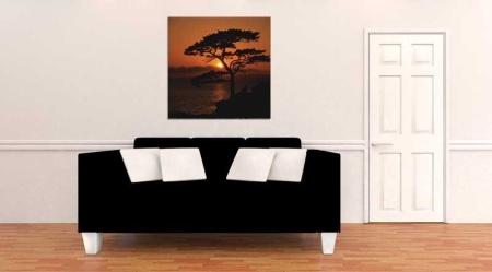 Tablou Canvas Copac