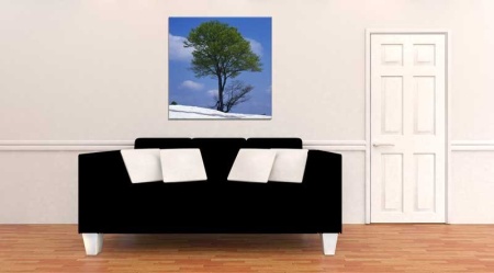 Tablou Canvas Copac