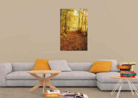 Tablou Canvas Drum Padure