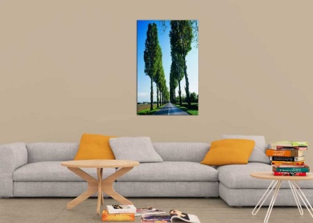 Tablou Canvas Drumuri