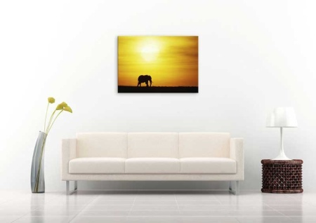 Tablou Canvas Elefant