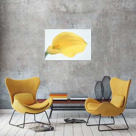 Tablou Canvas Floare