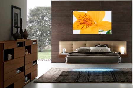 Tablou Canvas Floare