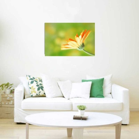 Tablou Canvas Floare