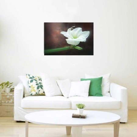 Tablou Canvas Floare