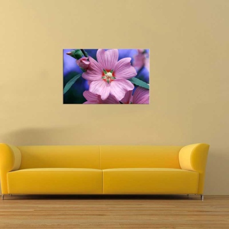 Tablou Canvas Floare