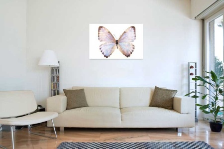 Tablou Canvas Fluturas